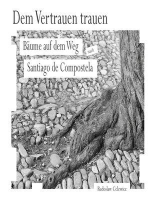cover image of Dem Vertrauen trauen